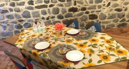 The Color Tower - Vittorio and Tania