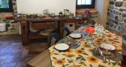 The Color Tower - Vittorio and Tania