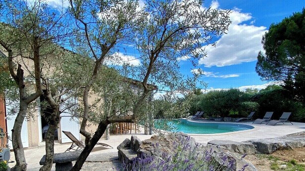 A pool area with a clear blue sky, surrounded by olive trees and lavender plants.
