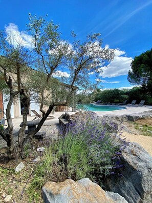 A pool area with a clear blue sky, surrounded by olive trees and lavender plants. - Maison Pour 12 Personnes, 5 ch, 1ha de Terrain Sans Vis-à-vis, Piscine Chauffée (Ruoms)