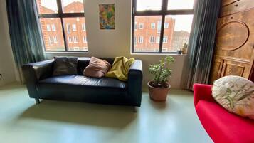 TV, fireplace, DVD player, books