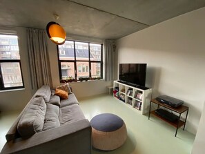 TV, lareira, DVD player, livros