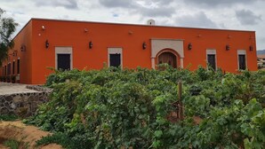 A building with a bright orange facade, a central arched entrance, and a vineyard in the foreground. - Hacienda Maria Trinidad (Valle de Guadalupe)