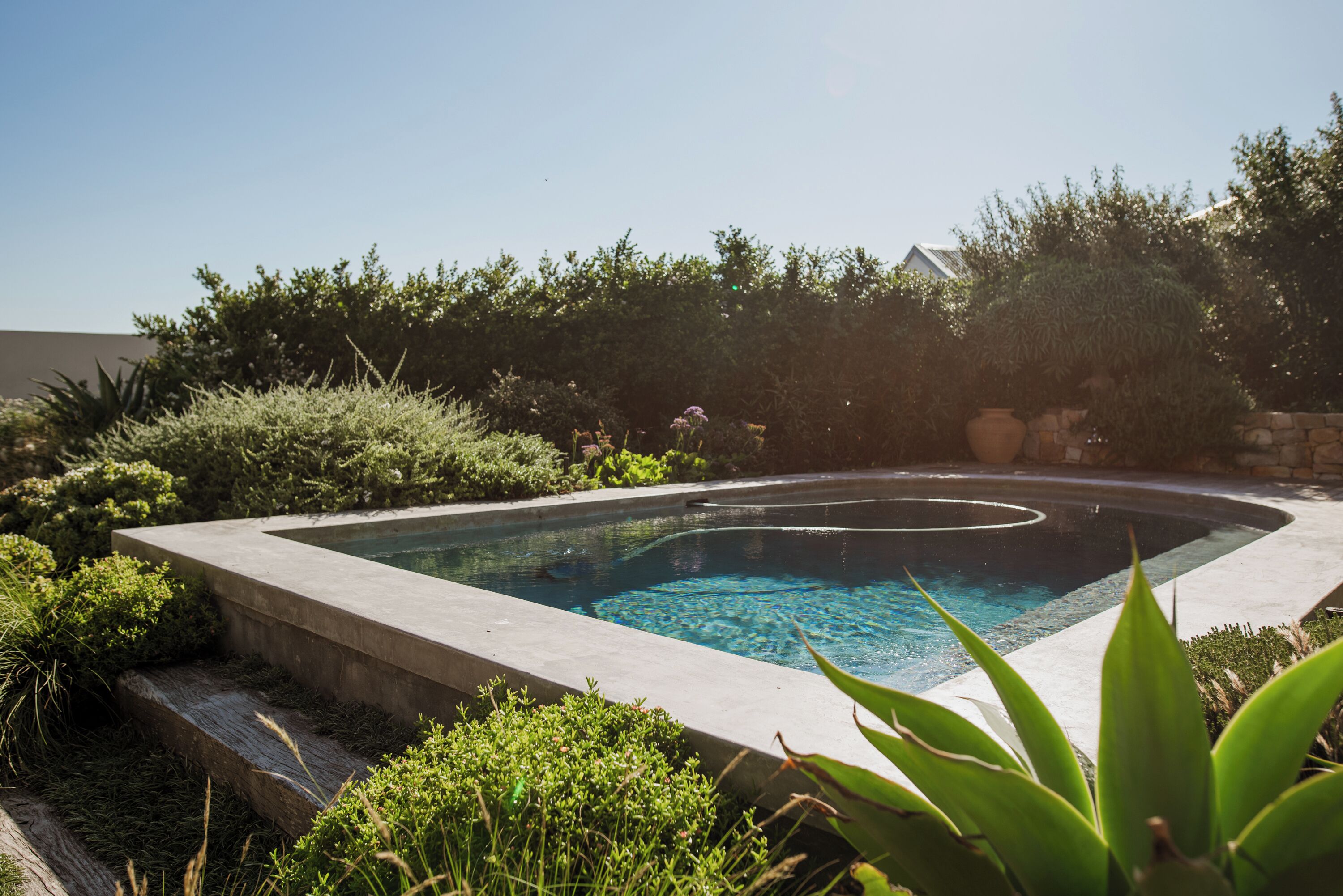 Une piscine entourée d’une végétation luxuriante et de murs en pierre.