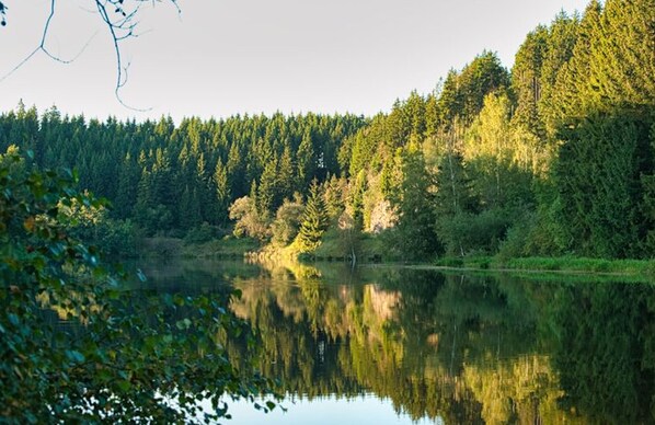 Exterior - Find With Nr 509 Your Holiday Home in the Harz Mountains (Oberharz am Brocken)