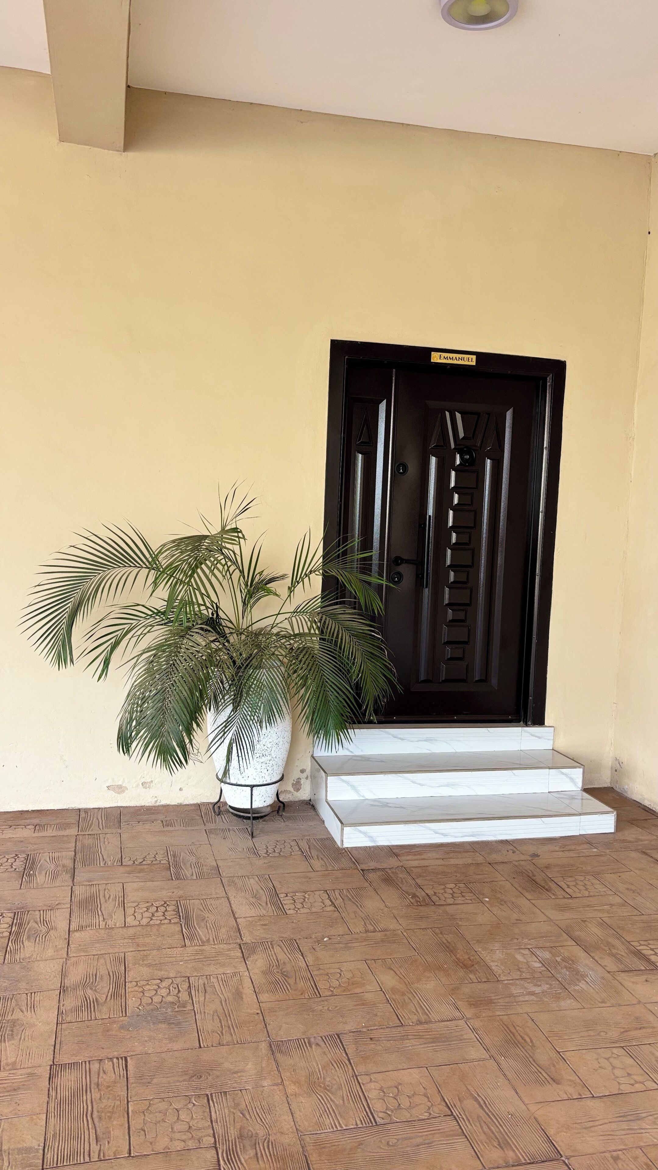 A potted plant next to a black door with a nameplate, white steps leading to the door, and a wooden floor.