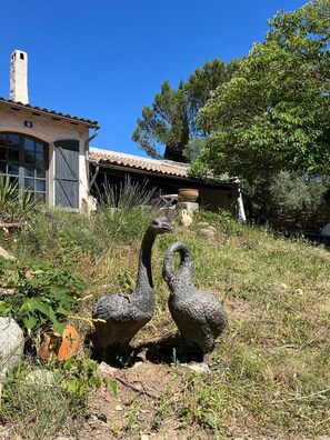 Exterior detail - Hebrard House - 8 people (Nîmes)