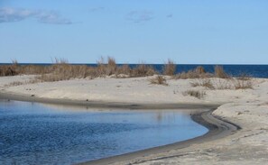 Chaises longues, serviettes de plage
