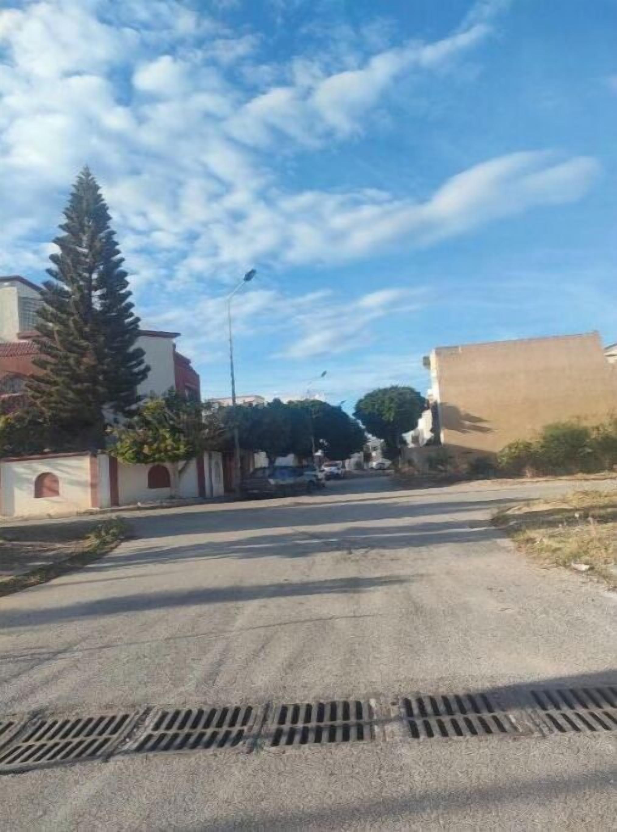 A quiet street with buildings, a large tree, and a clear sky.