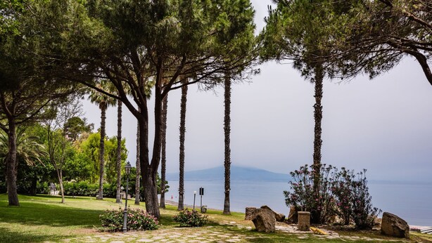 Un jardin aménagé avec des palmiers, un sentier en pierre et une vue sur la mer.