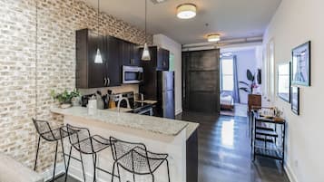 Lägenhet - 1 kingsize-säng med bäddsoffa - kök - utsikt mot staden (Nashville Nest) | Eget kök | Kylskåp, mikrovågsugn, ugn och spishäll