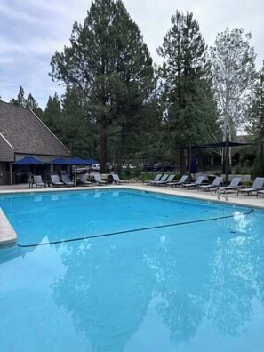 Une piscine entourée d’arbres, avec des chaises longues et des parasols.
