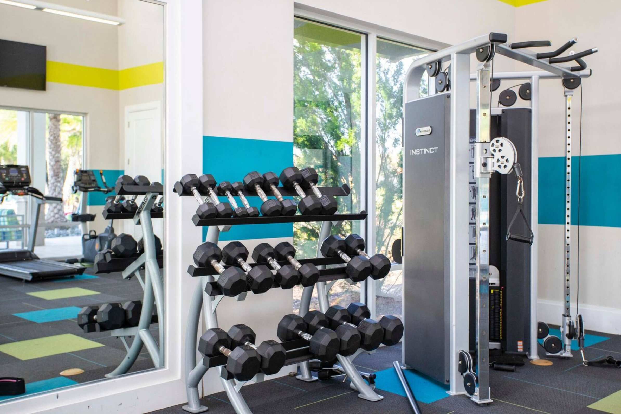 Een sportschool met een spiegelwand, halterrekken en fitnessapparatuur.