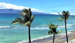 A beach with palm trees and clear blue water. - Belmakai (Lahaina)