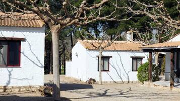 A white building with a tiled roof, a gravel driveway, and a tree in front.