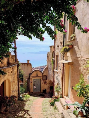 Property grounds - Cinque Terre breakfast home with optional access to Pool, Sauna and Jacuzzi (SARZANA)