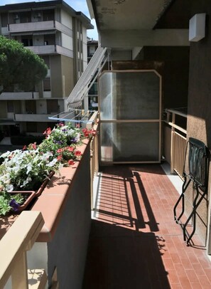 Property grounds - LARGE & QUIET, Free parking, near city center (Firenze)