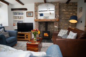 TV, fireplace - Derwen House, Newport (Newport)