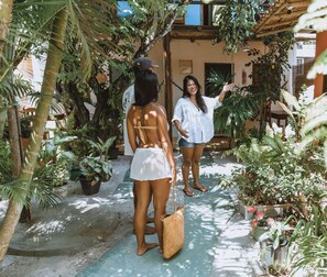 Un patio con plantas en macetas, una pérgola de madera y la entrada de un edificio.