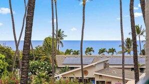 Ein Resort mit Palmen, einem Gebäude mit Solaranlage und Blick auf den Ozean.