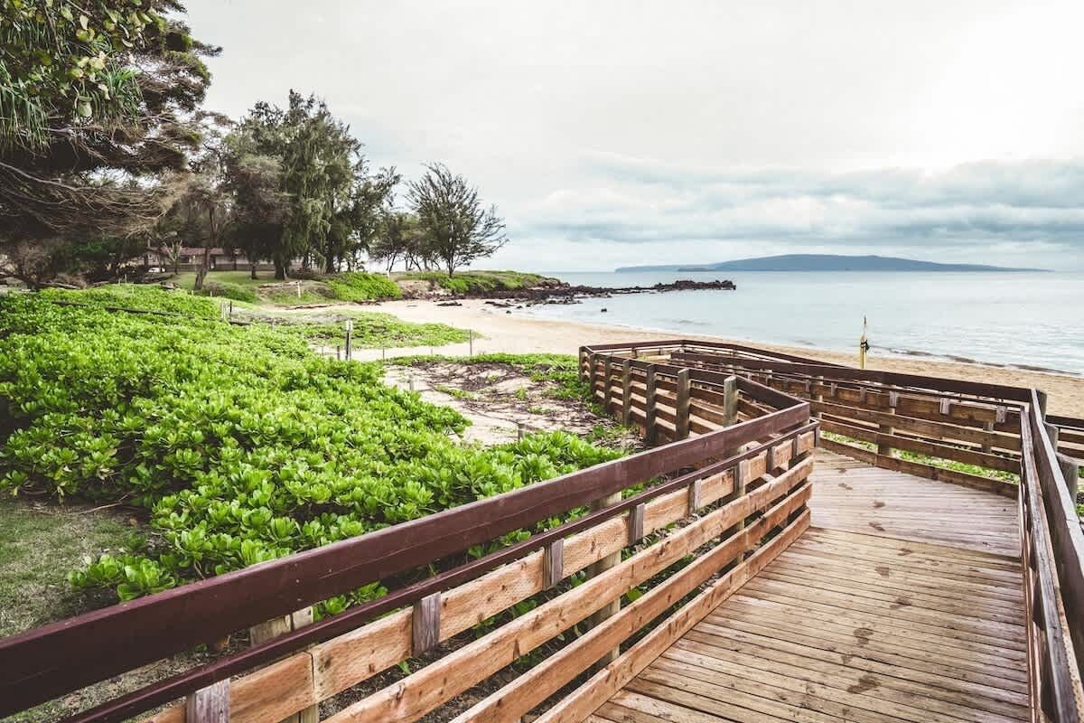 A wooden boardwalk leading to a beach with green vegetation and trees in the background.