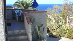 A patio with a table and chairs, a blue umbrella, and a cactus wall.