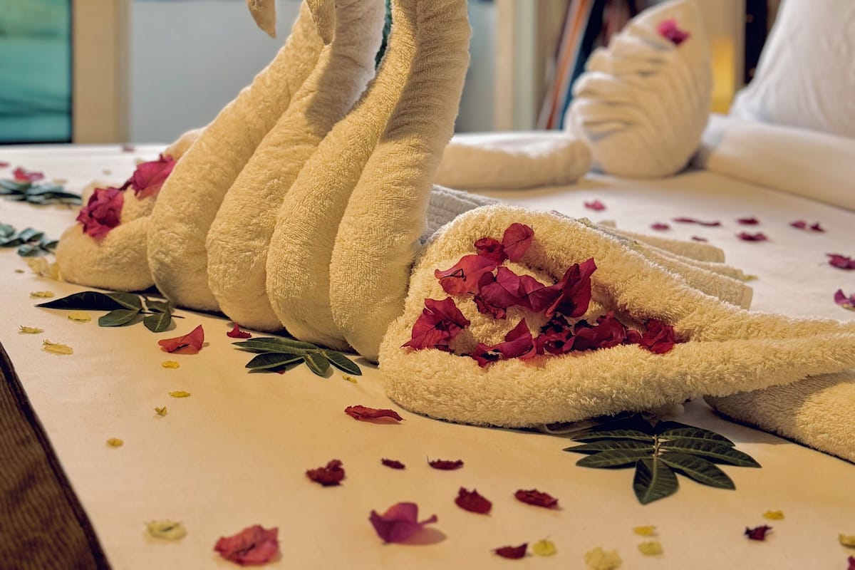 Suite estudio de lujo | Ropa de cama de alta calidad y camas Select Comfort