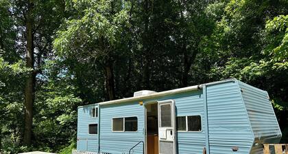 Rustic Remodeled Camper on Mini Farm with Farm Fresh Eggs