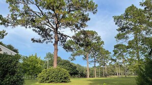 Una zona enjardinada ben cuidada amb arbres madurs i un arbustos.