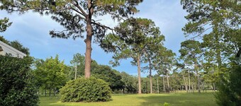 Charming Bed & Breakfast 3 bedrooms fully furnished WiFi in Terrific Tallahassee
