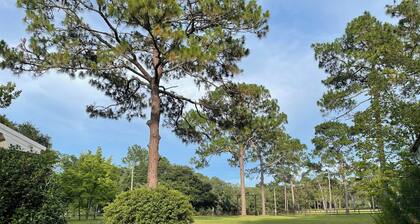 Charming Bed & Breakfast 3 bedrooms fully furnished WiFi in Terrific Tallahassee