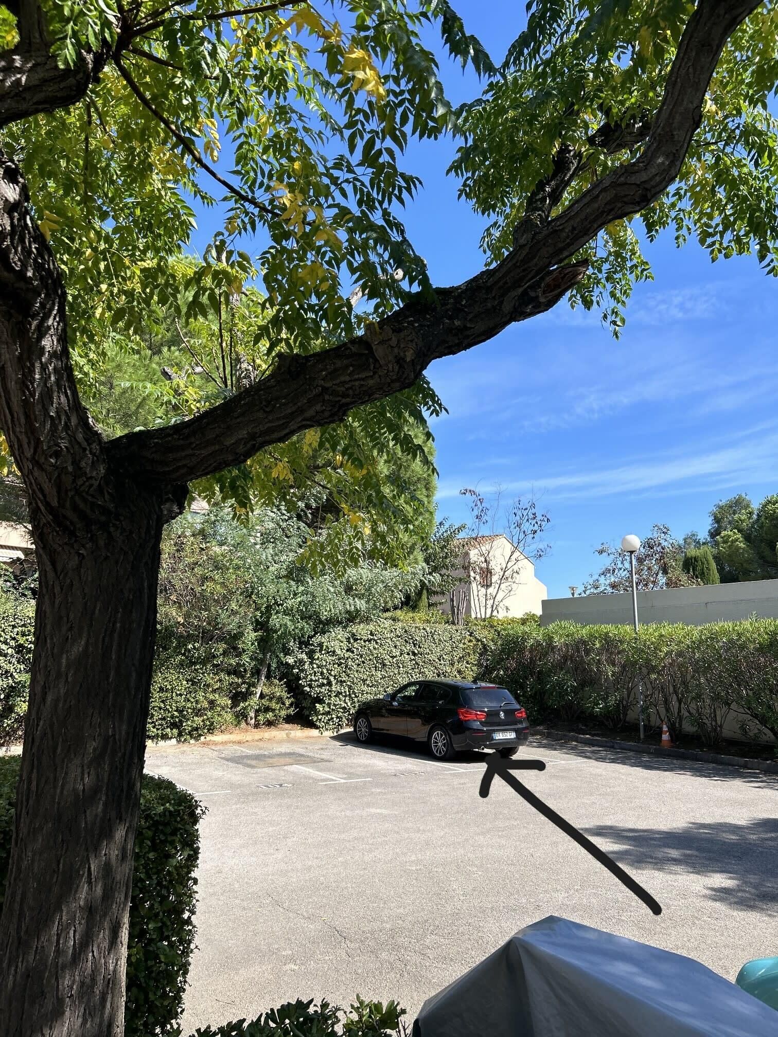 A parking area with a tree and a car.