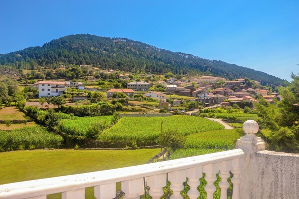 Property grounds - Casa com Piscina Privada, a 4km das Fisgas de Ermelo! Aceitam-se Animais (Bilhó, Mondim de Basto)