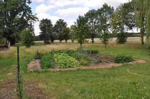 Property grounds - FEWO Wolfseiche apartment, in the middle of nature, directly on the cycle path charging station (Waldhufen)