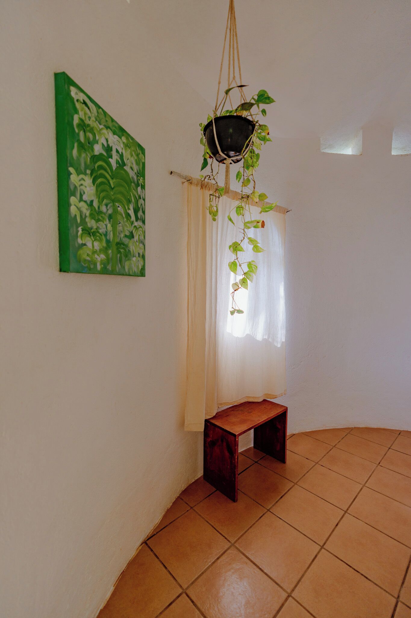 Ein Zimmer mit einer hängenden Pflanze, einem Gemälde und einer kleinen Bank.