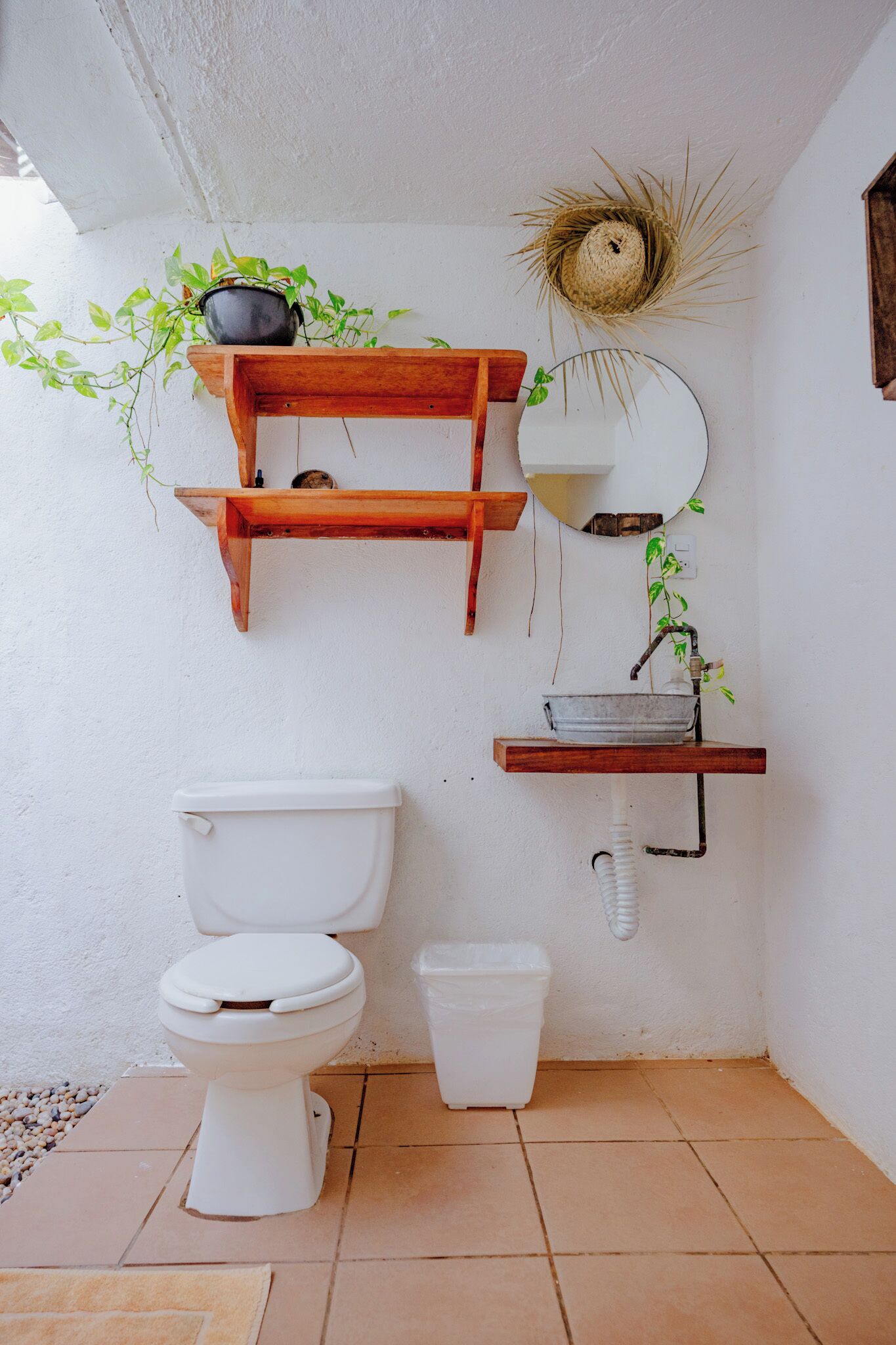 Une petite salle de bain avec des toilettes, un lavabo et une douche. Il y a des étagères en bois au-dessus du lavabo et une plante suspendue.