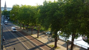 Niet-geclassificeerde afbeelding, 3 van 7, knop
