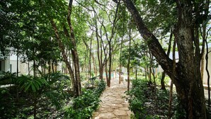 Ảnh chưa phân loại, 5 trong s  ố 69 ảnh, nút