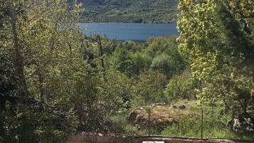 A natural landscape with a lake, trees, and a mountainous backdrop.