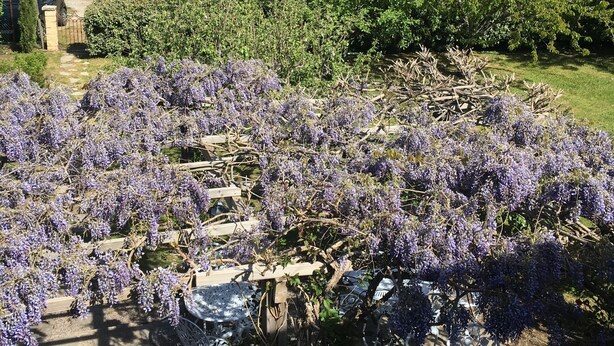 標準雙床房, 獨立浴室, 花園景觀 (Alimea) | 外觀