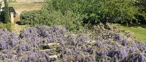 Standard-Zweibettzimmer, mit Bad, Gartenblick (Alimea) | Aussenbereich