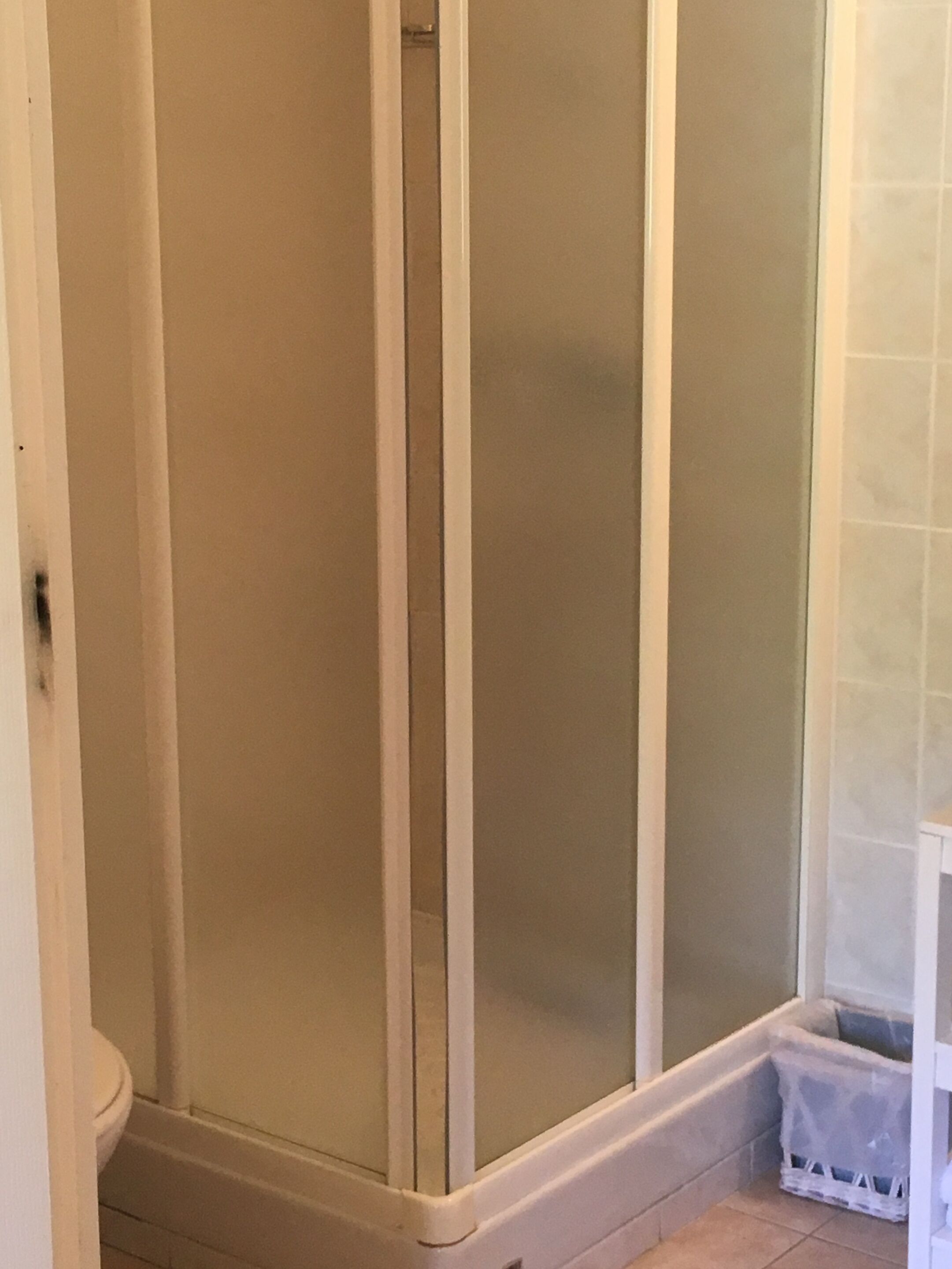A bathroom with a glass shower enclosure, a toilet, and a trash bin.