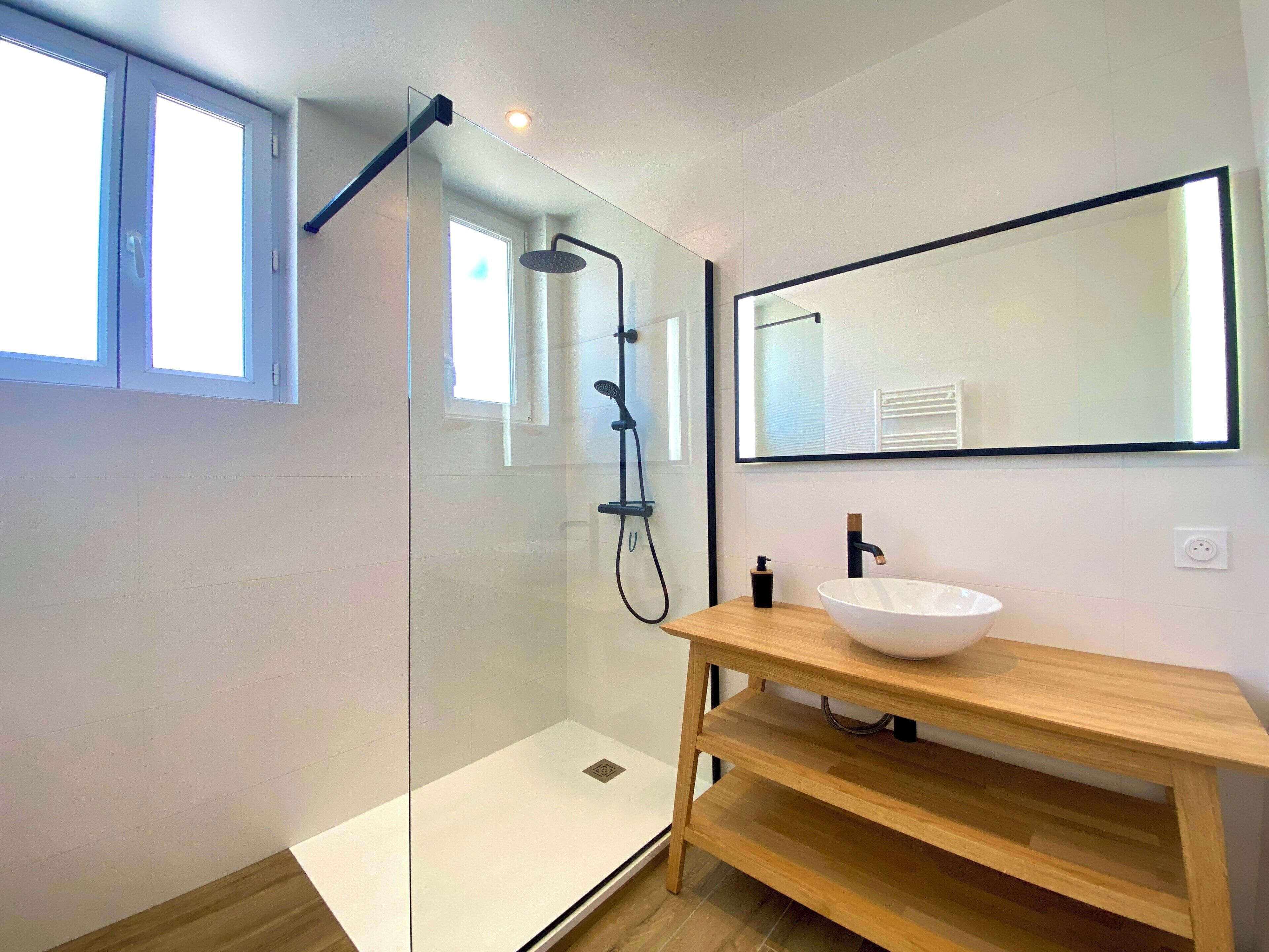 Shower, hair dryer, towels