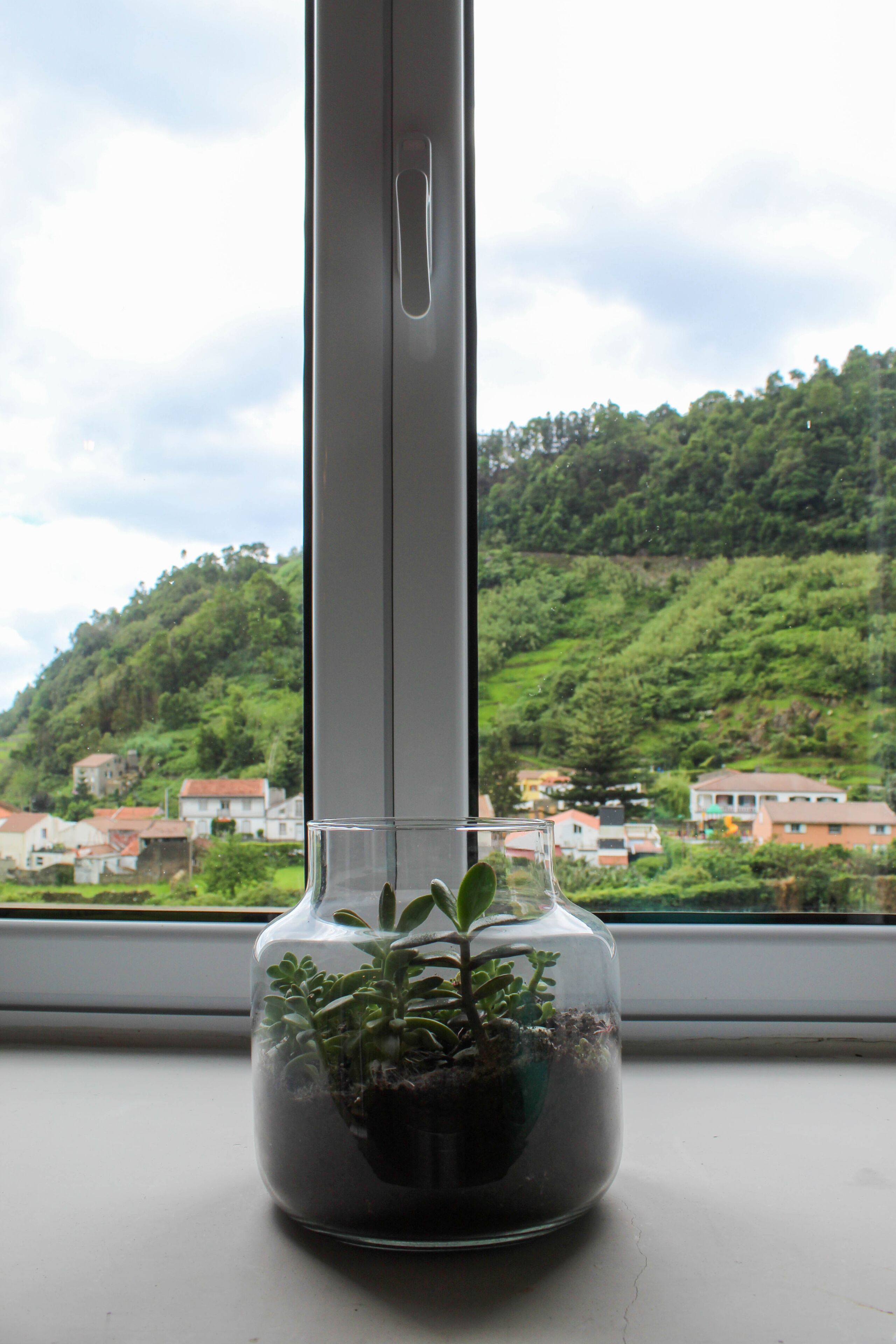 Eine transparente Glasvase mit einer Pflanze auf einer Fensterbank.