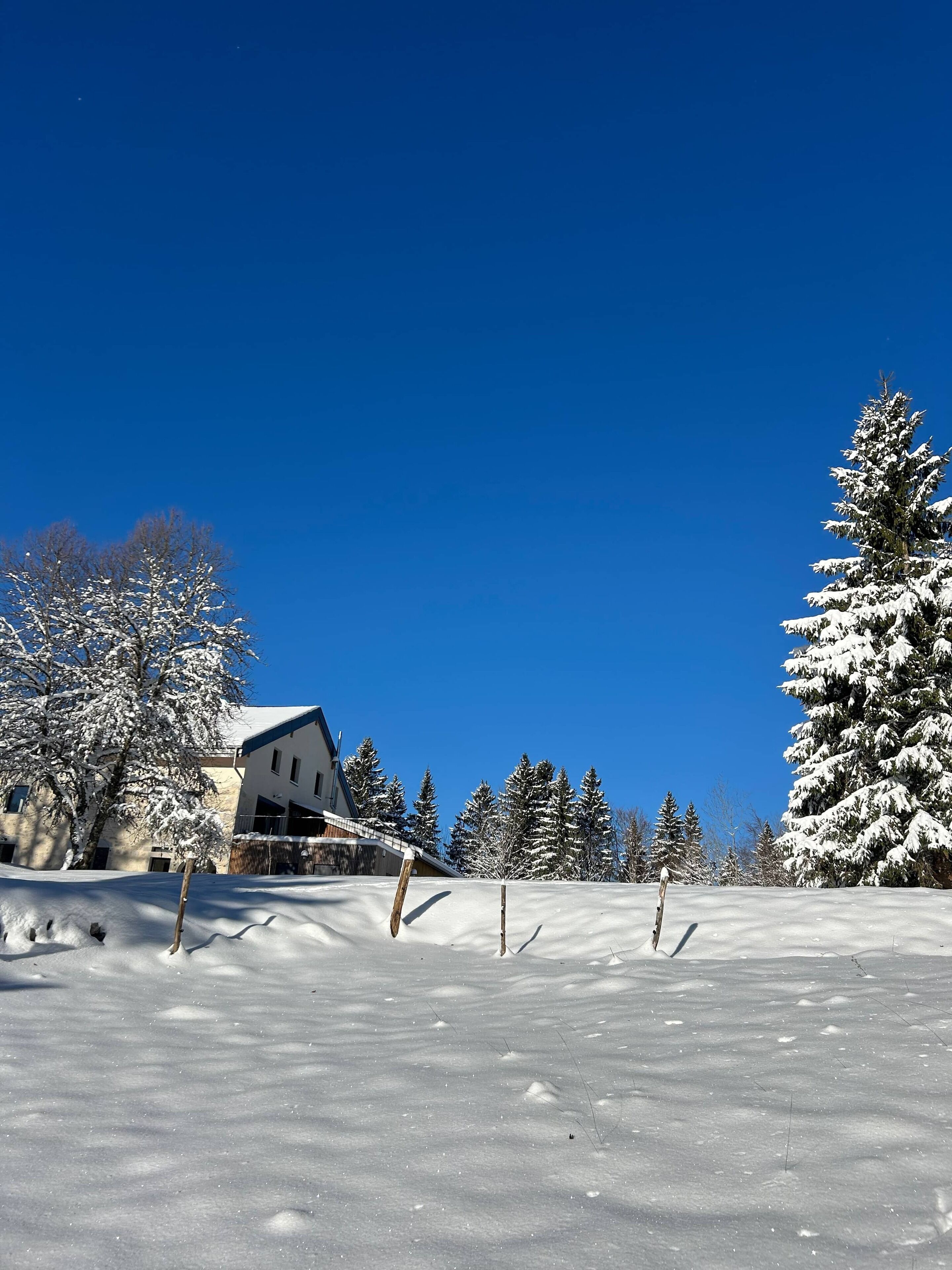 A snow-covered landscape with a house and trees.