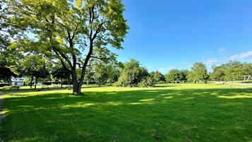 Un parc amb un arbre gran, zones enverdides i un cel blau clar.