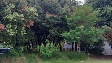 公寓 (Guest House Green Corner Palit - One ) | 外觀