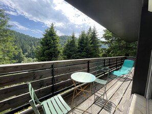 Property grounds - Chalet Vassivière  Font d'Alagnon (Le Lioran)