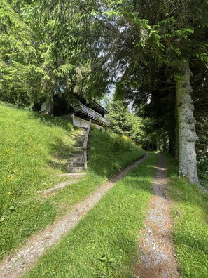 Property grounds - Chalet Vassivière  Font d'Alagnon (Le Lioran)