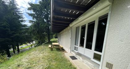 T2 VassiviĂšre Ă Font D'Alagnon